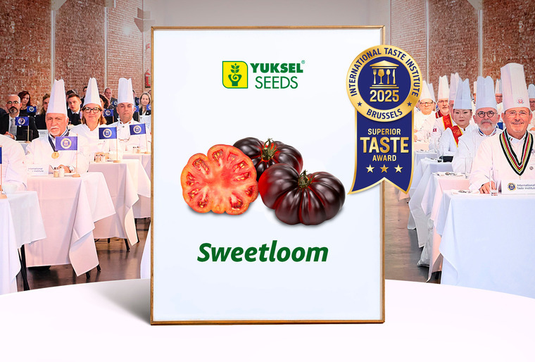 Sweetloom 与 Princessa 荣获国际美味研究所奖项