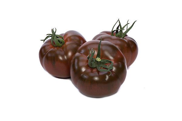 Brow Tomato